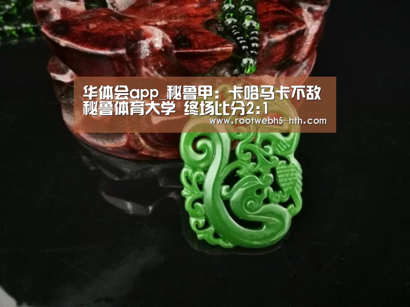 华体会app