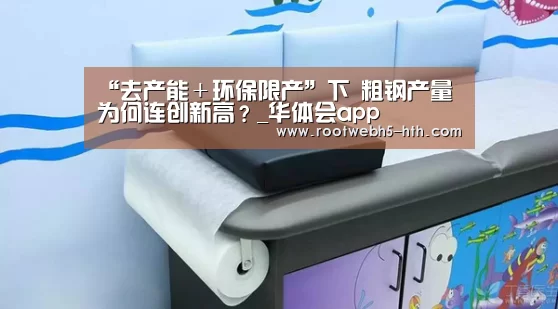 “去产能+环保限产”下 粗钢产量为何连创新高?_华体会app(图4) 华体会app