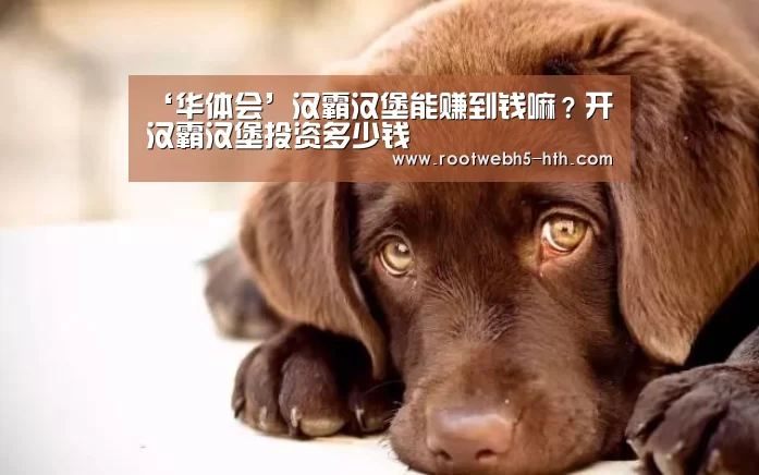 ‘华体会’汉霸汉堡能赚到钱嘛?开汉霸汉堡投资多少钱(图3) 华体会app